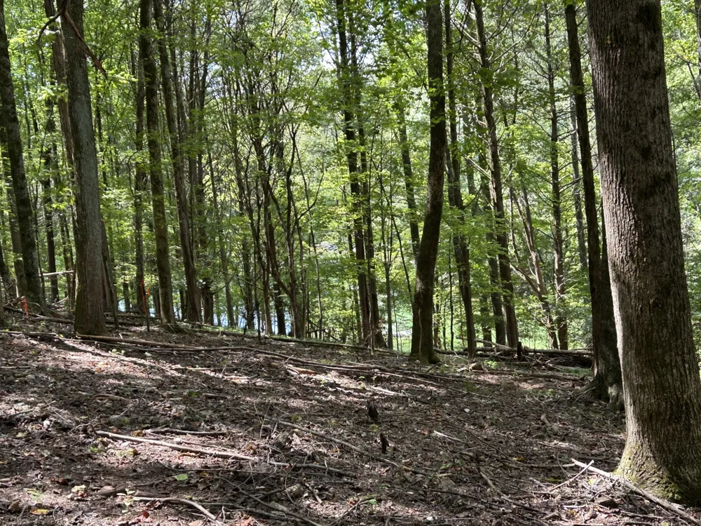 190 JD Lane Lynchburg, TN 37352