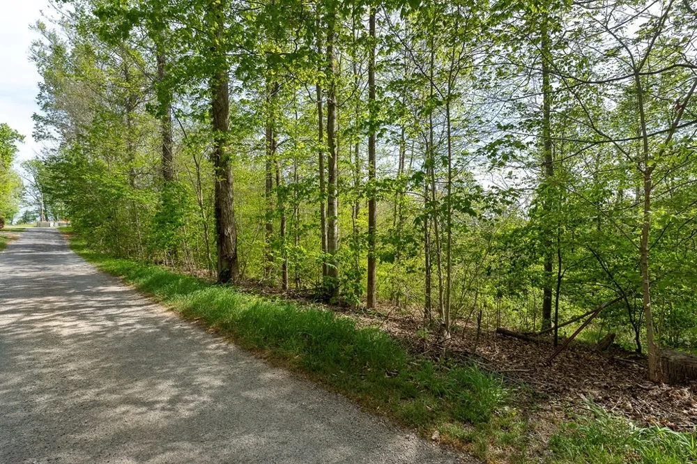 75 Backbone Rd Sparta, TN 38583