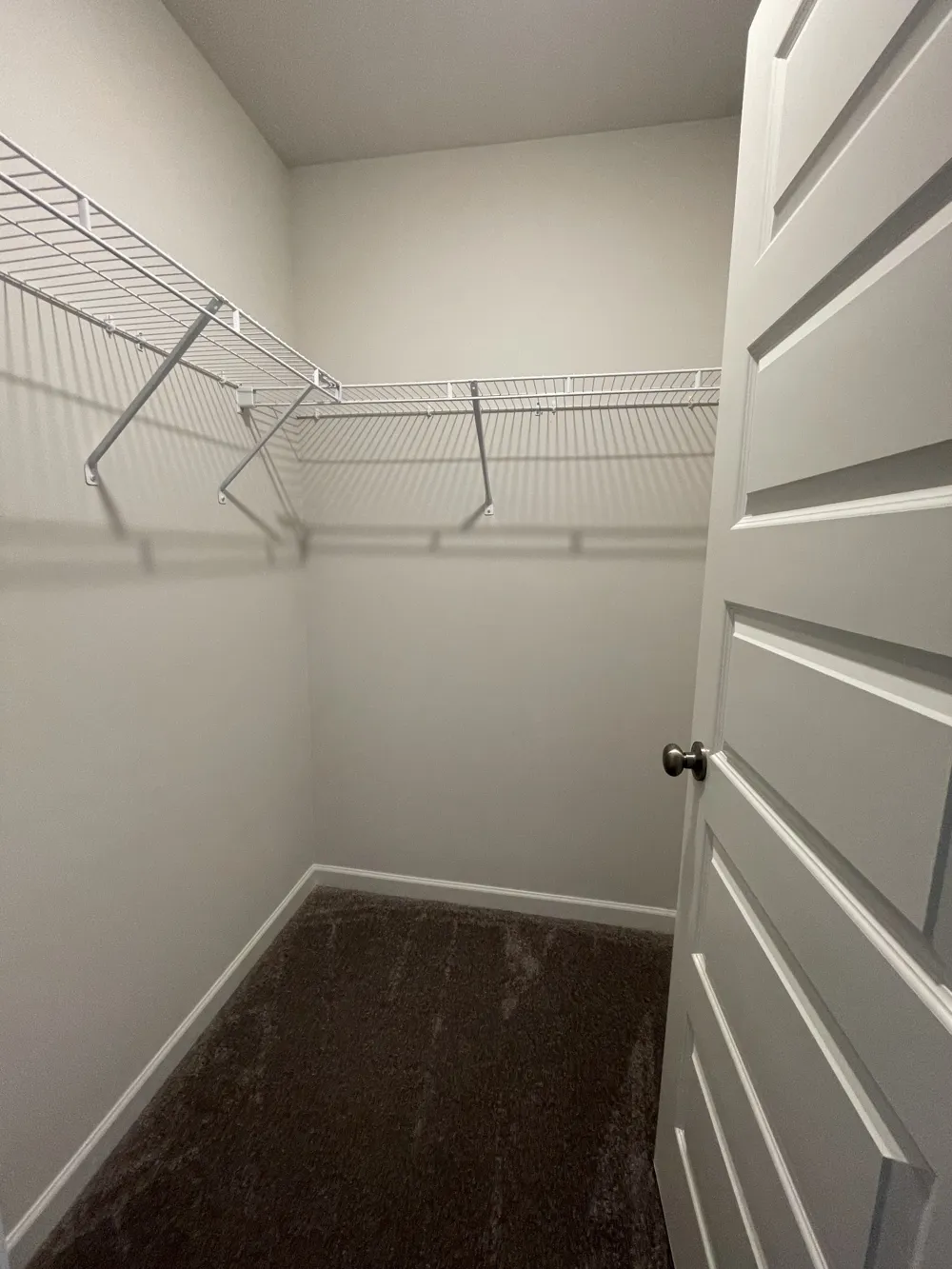 558 Trinity Way Spring Hill, TN 37174