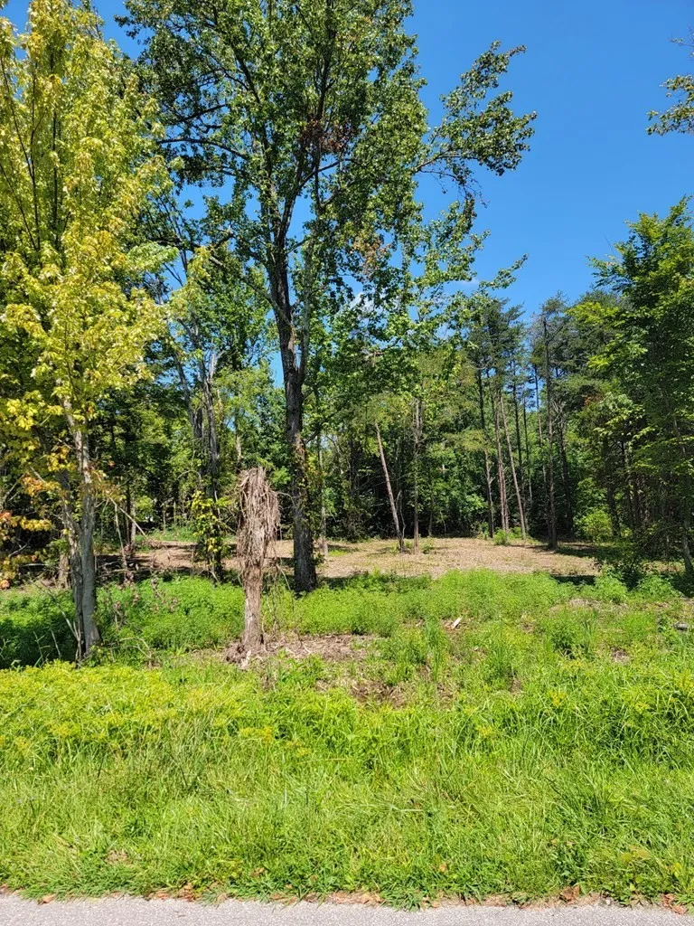 204 Vandy Cir Sparta, TN 38583