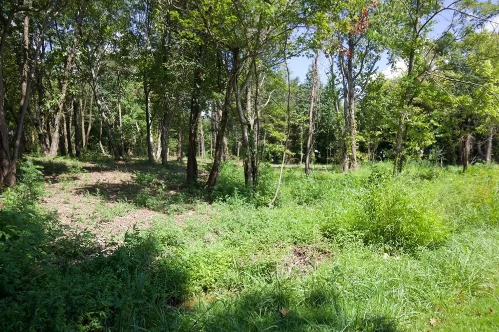 204 Vandy Cir Sparta, TN 38583