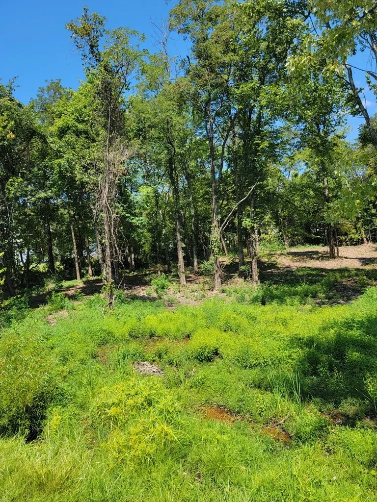 204 Vandy Cir Sparta, TN 38583