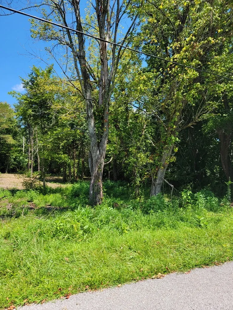 204 Vandy Cir Sparta, TN 38583