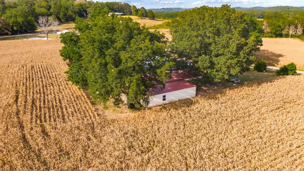 1318 Vise Loop Decaturville, TN 38329