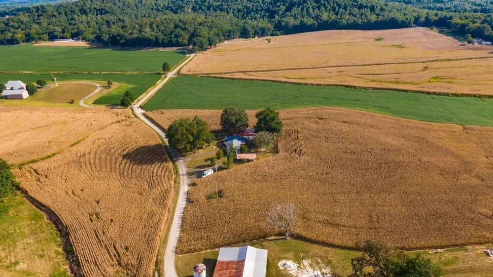 1318 Vise Loop Decaturville, TN 38329
