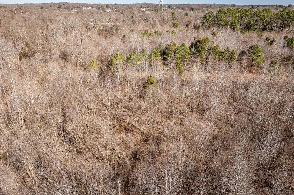 0 Gunn Gardens Place Parsons, TN 38363