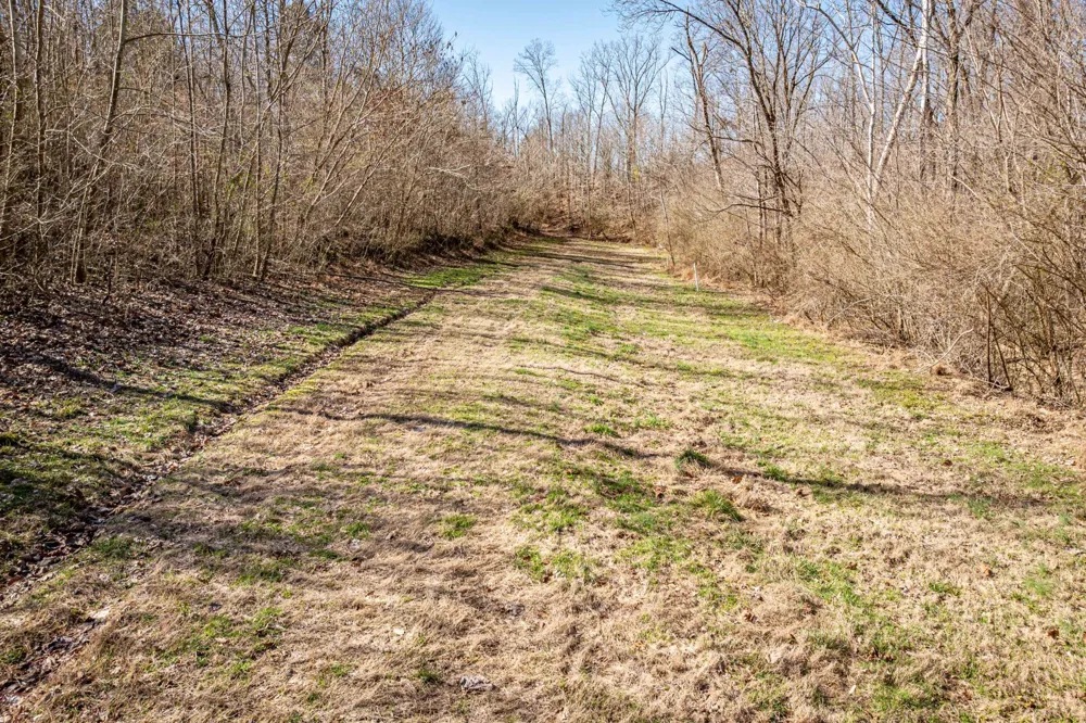 0 Gunn Gardens Place Parsons, TN 38363