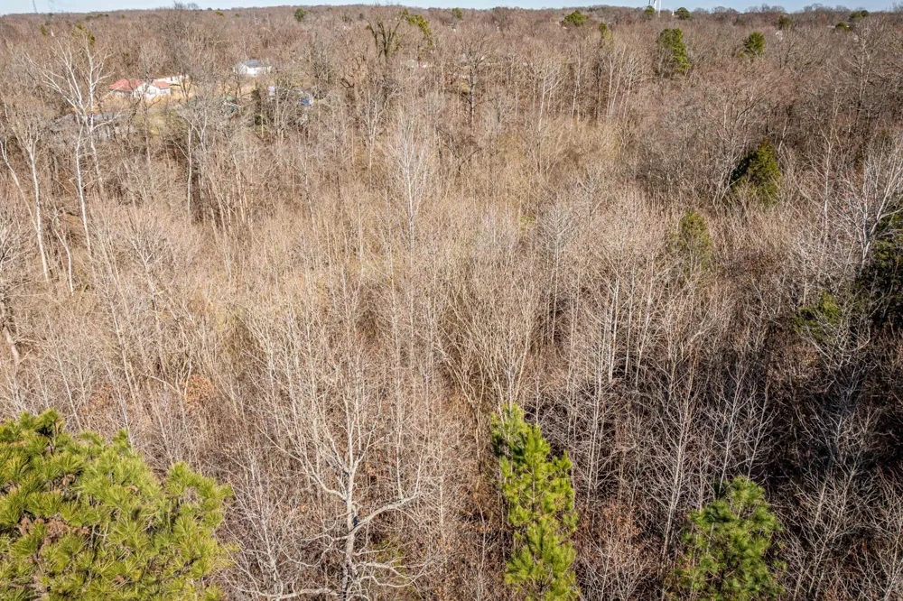 0 Gunn Gardens Place Parsons, TN 38363