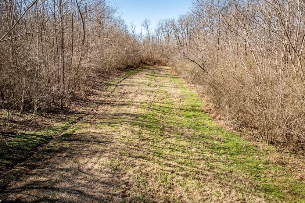 0 Gunn Gardens Place Parsons, TN 38363