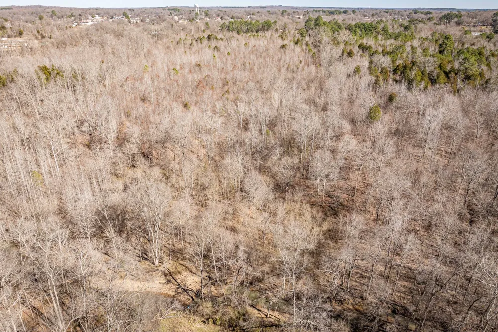 0 Gunn Gardens Place Parsons, TN 38363