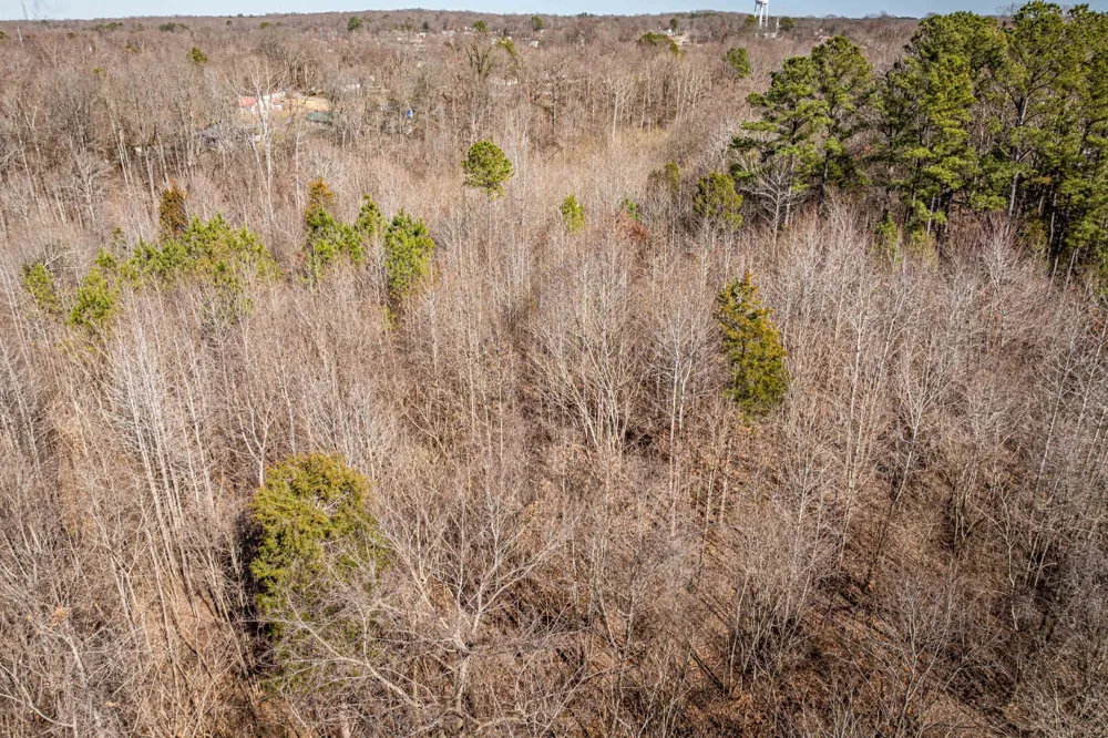 0 Gunn Gardens Place Parsons, TN 38363