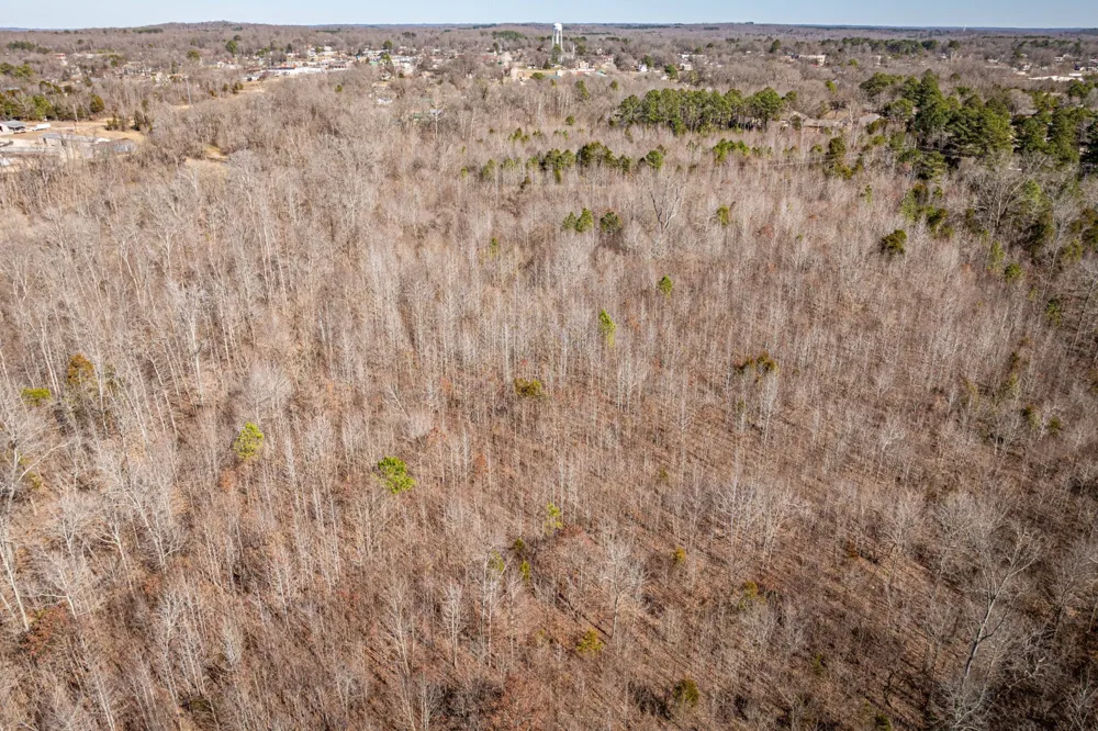 0 Gunn Gardens Place Parsons, TN 38363