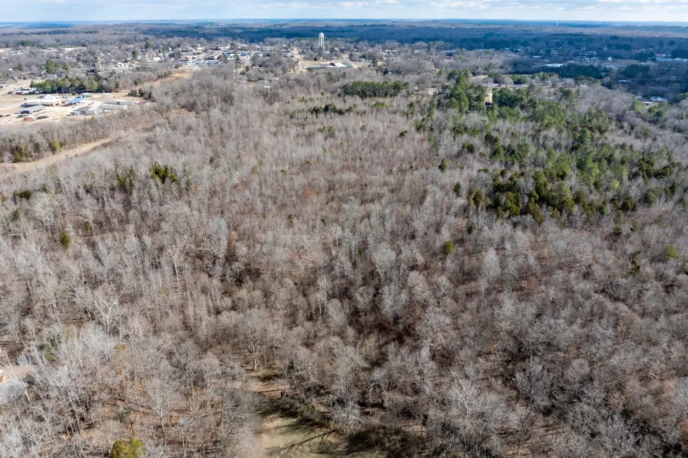 0 Gunn Gardens Place Parsons, TN 38363