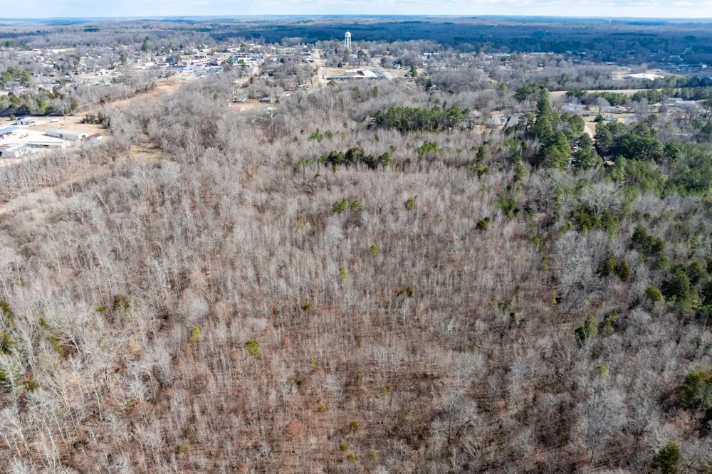 0 Gunn Gardens Place Parsons, TN 38363