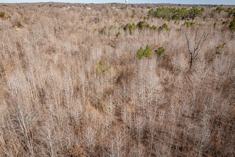 0 Gunn Gardens Place Parsons, TN 38363