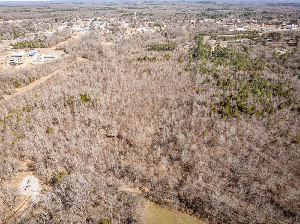 0 Gunn Gardens Place Parsons, TN 38363