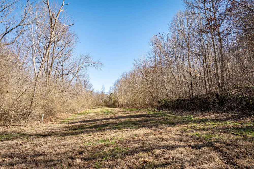 0 Gunn Gardens Place Parsons, TN 38363