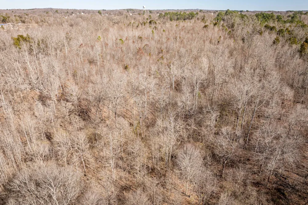 0 Gunn Gardens Place Parsons, TN 38363