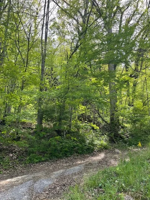 0 Bruer Dr Smithville, TN 37166