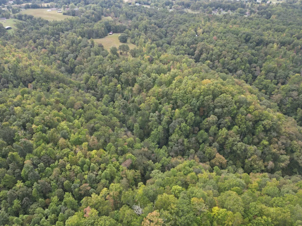 0 Eagle Creek Rd Old Eagle Creek Smithville, TN 37166