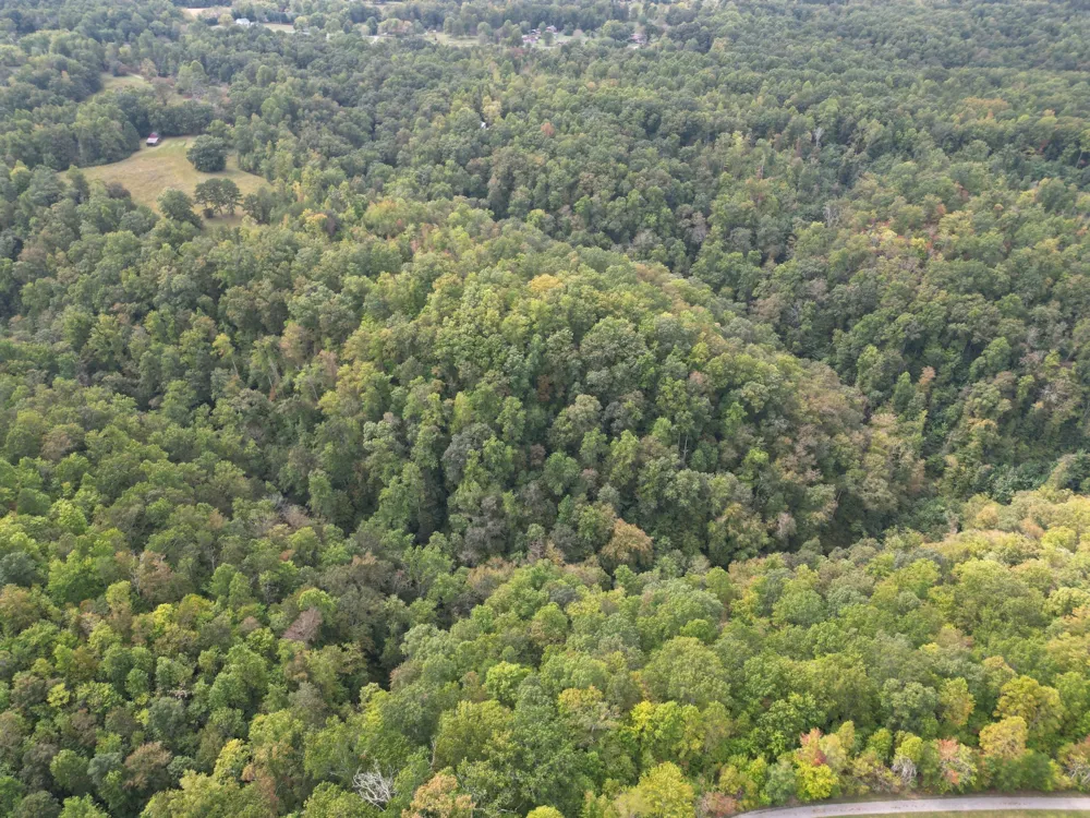 0 Eagle Creek Rd Old Eagle Creek Smithville, TN 37166