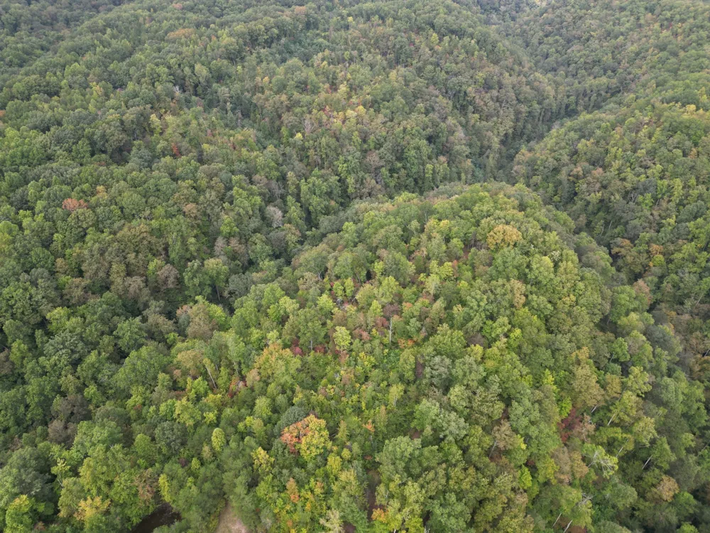 0 Eagle Creek Rd Old Eagle Creek Smithville, TN 37166