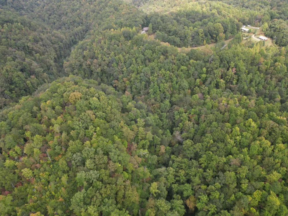 0 Eagle Creek Rd Old Eagle Creek Smithville, TN 37166