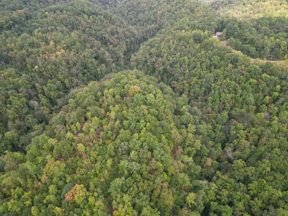 0 Eagle Creek Rd Old Eagle Creek Smithville, TN 37166