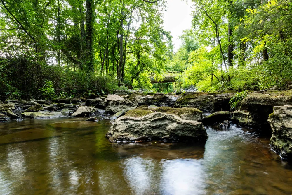 0 Horton Hwy College Grove, TN 37046