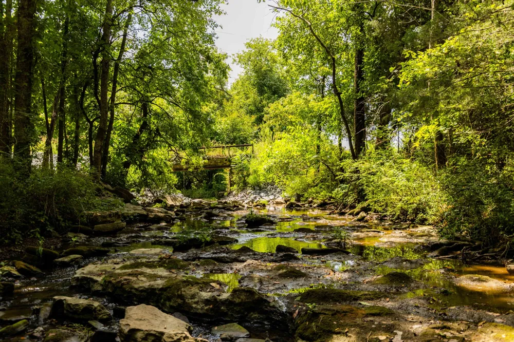 0 Horton Hwy College Grove, TN 37046