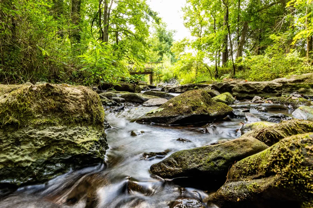 0 Horton Hwy College Grove, TN 37046