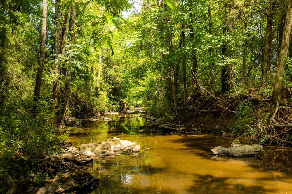 0 Horton Hwy College Grove, TN 37046
