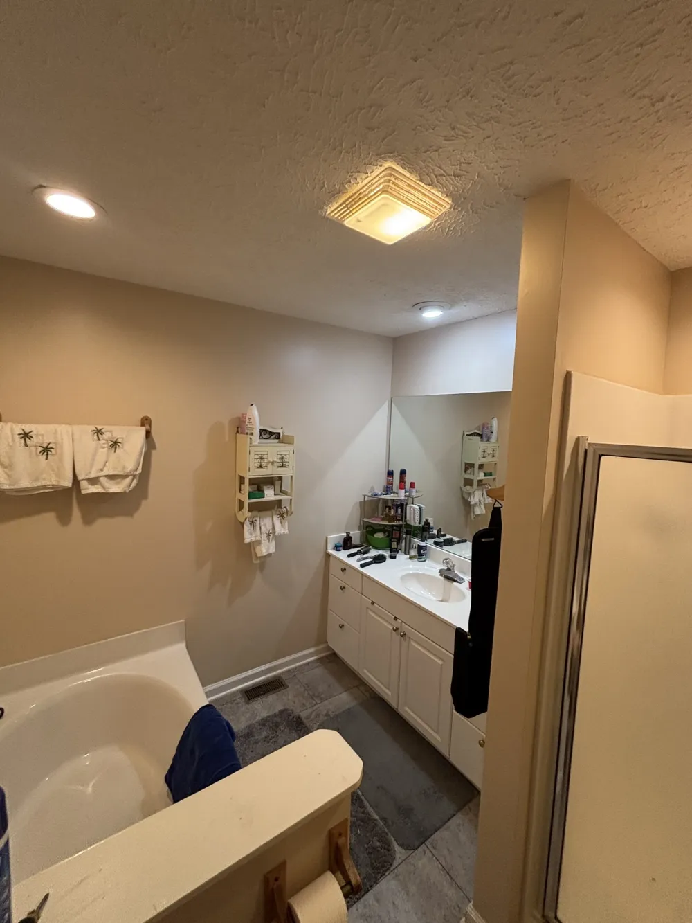206 Dreaden St Waverly, TN 37185