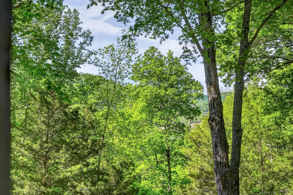 1097 Floating Mill Village Road Silver Point, TN 38582