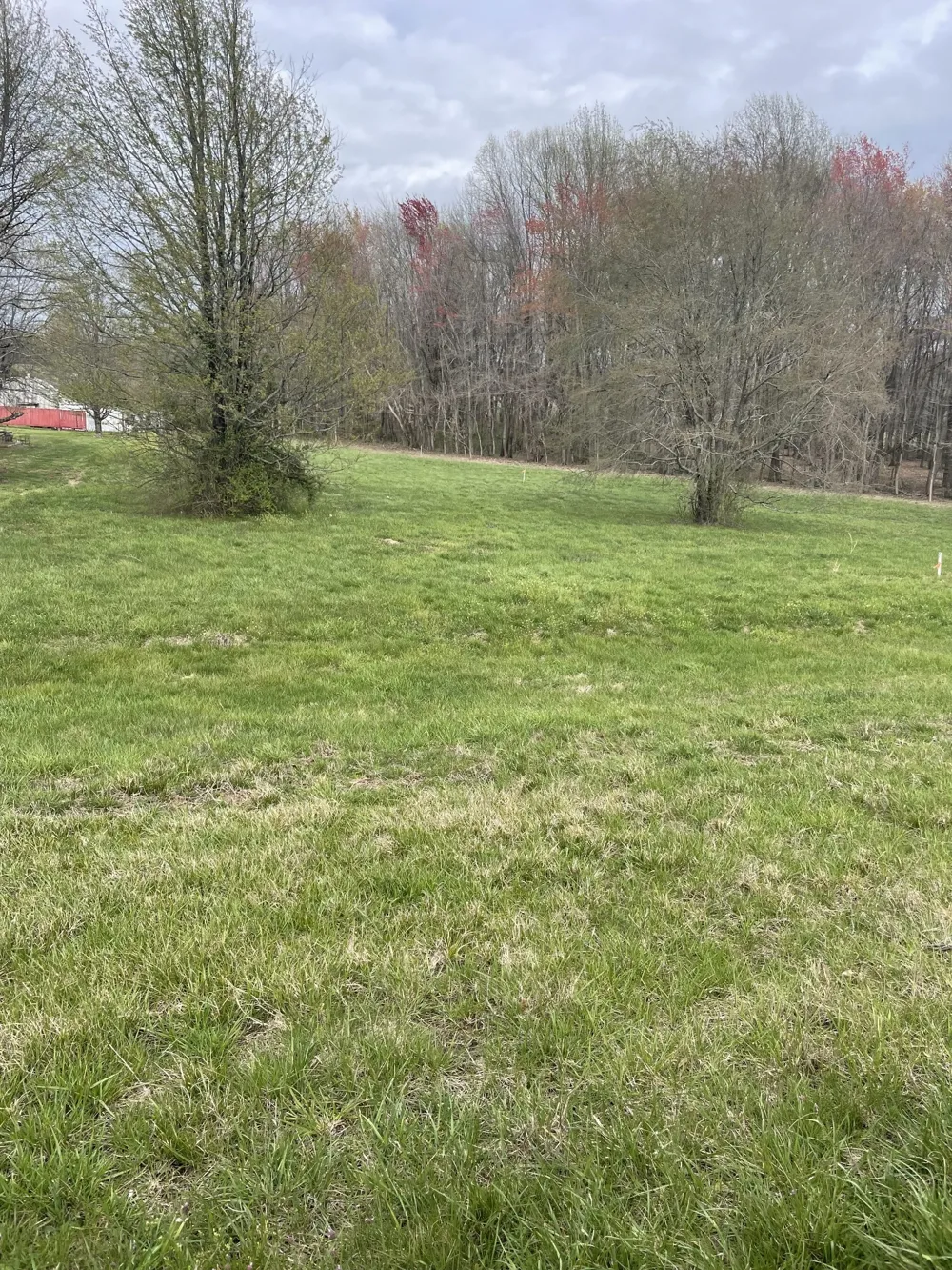 1 Highway 52E Lafayette, TN 37083