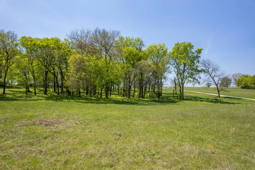 4 Old Zion Rd Columbia, TN 38401