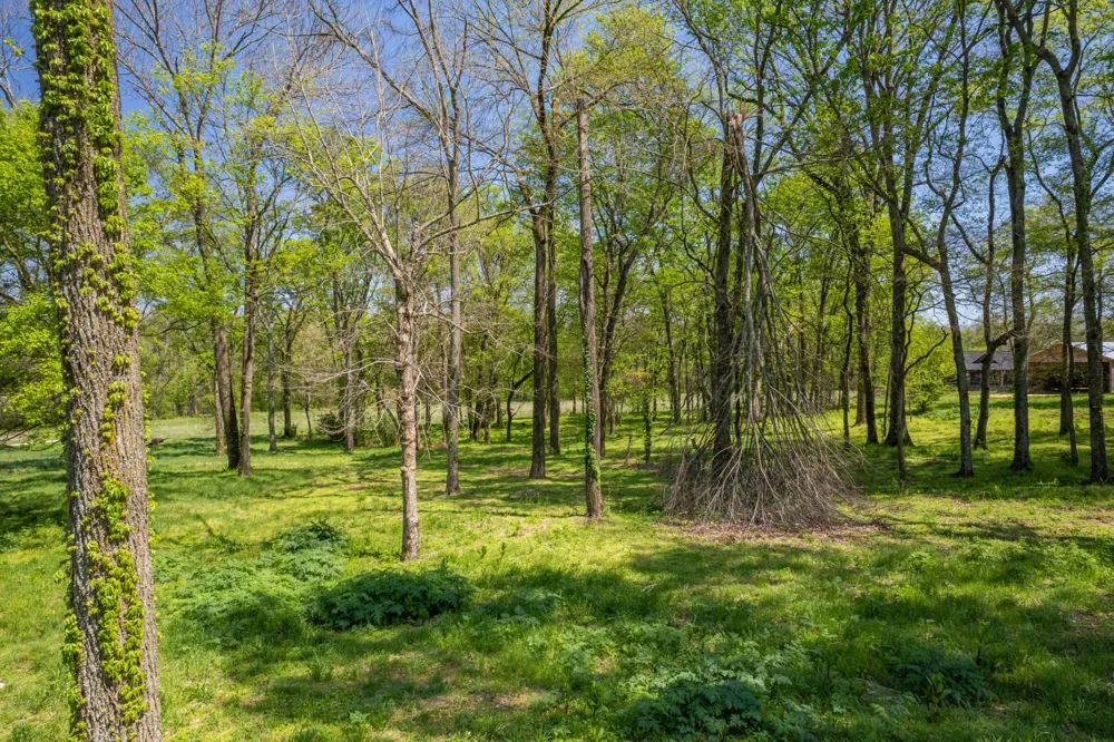 4 Old Zion Rd Columbia, TN 38401