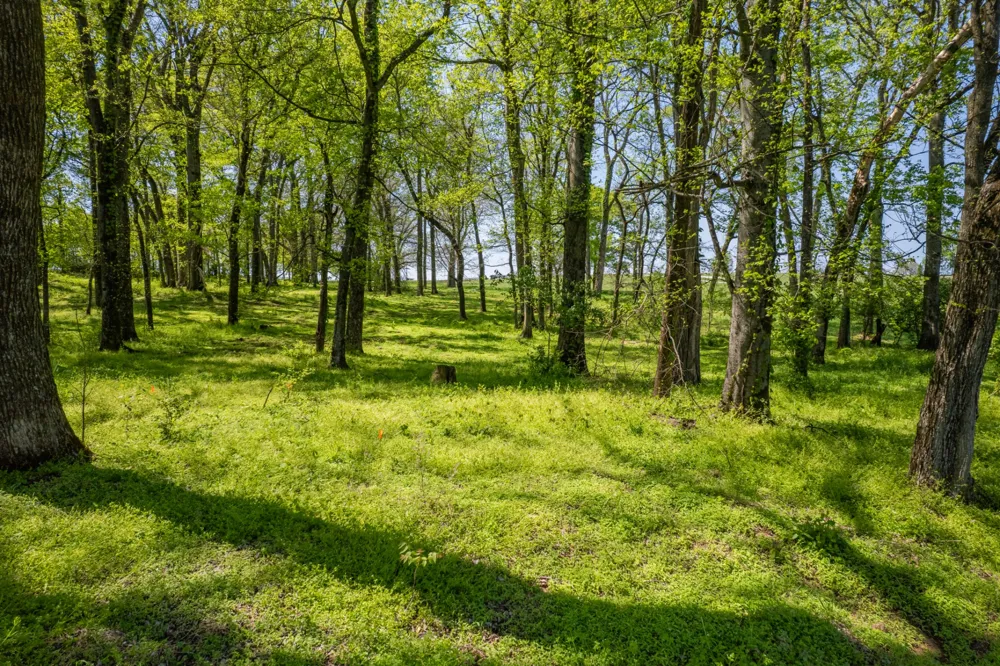 0 Old Zion Rd Columbia, TN 38401
