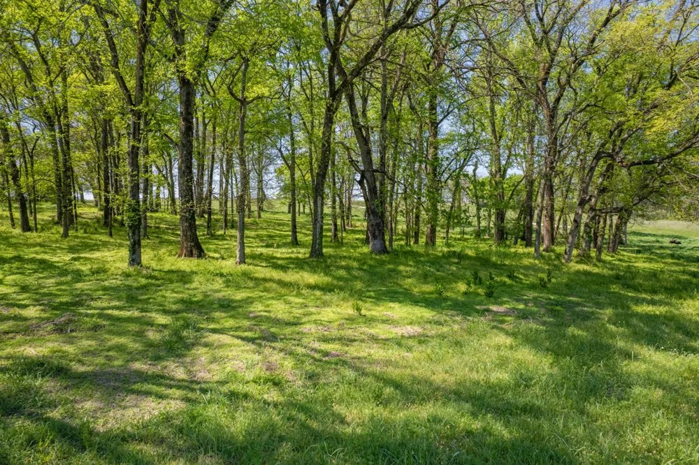 0 Old Zion Rd Columbia, TN 38401