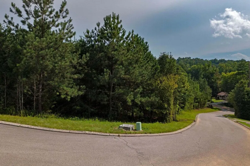 0 Nicole Drive Dayton, TN 37321
