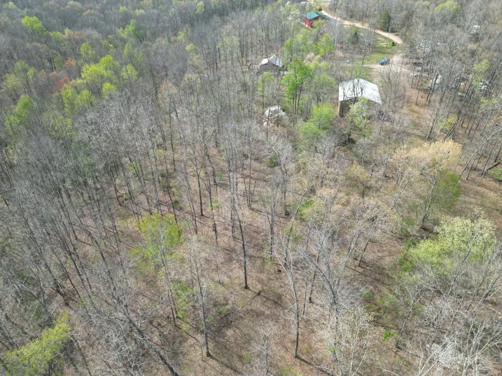 130 Trace view DR Summertown, TN 38483