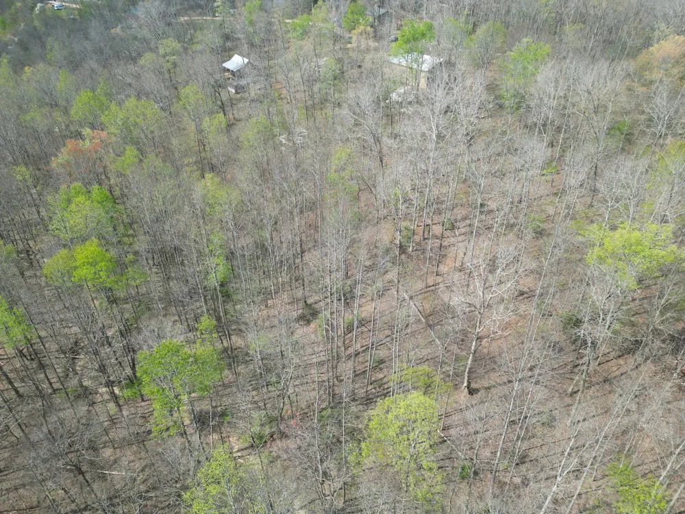130 Trace view DR Summertown, TN 38483