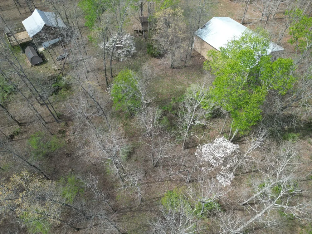 130 Trace view DR Summertown, TN 38483