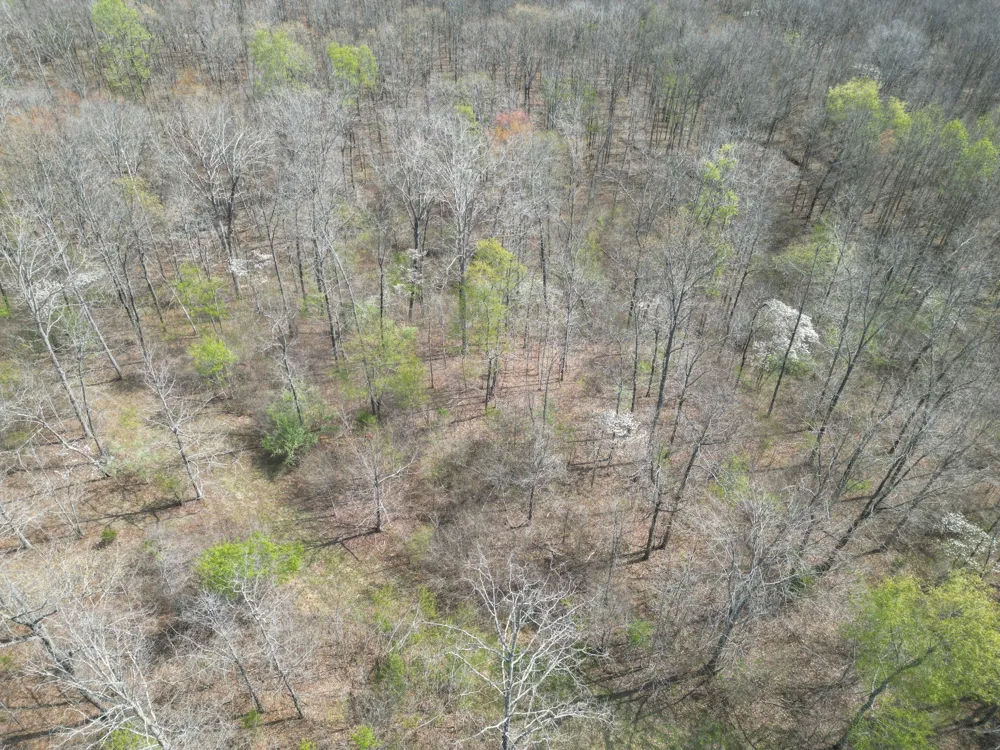 130 Trace view DR Summertown, TN 38483
