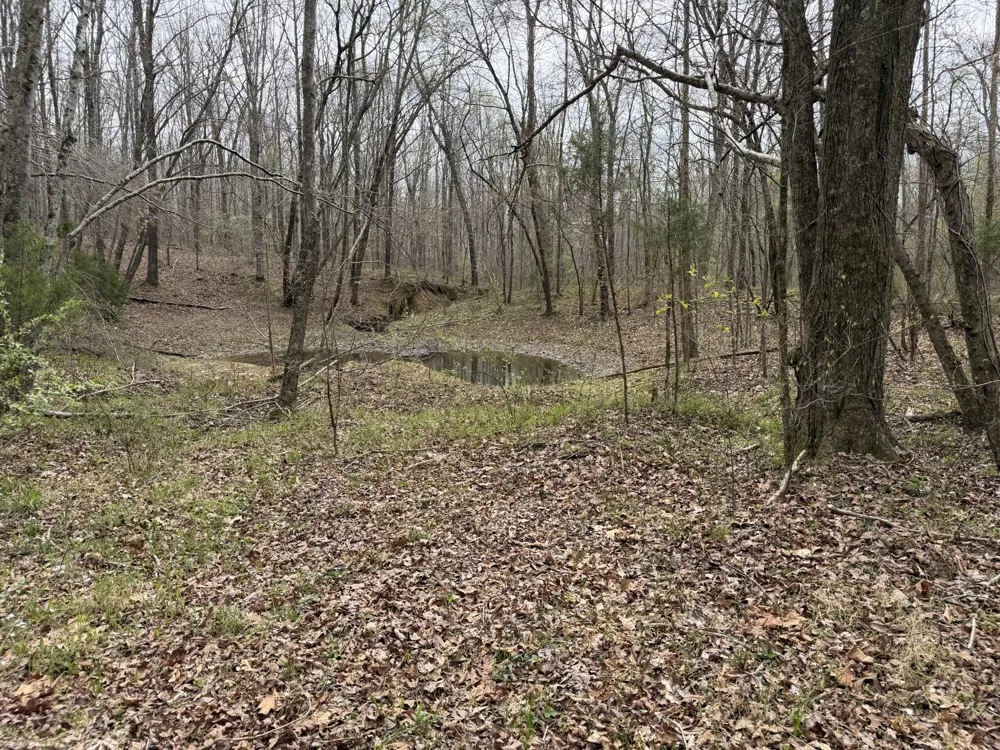 130 Trace view DR Summertown, TN 38483