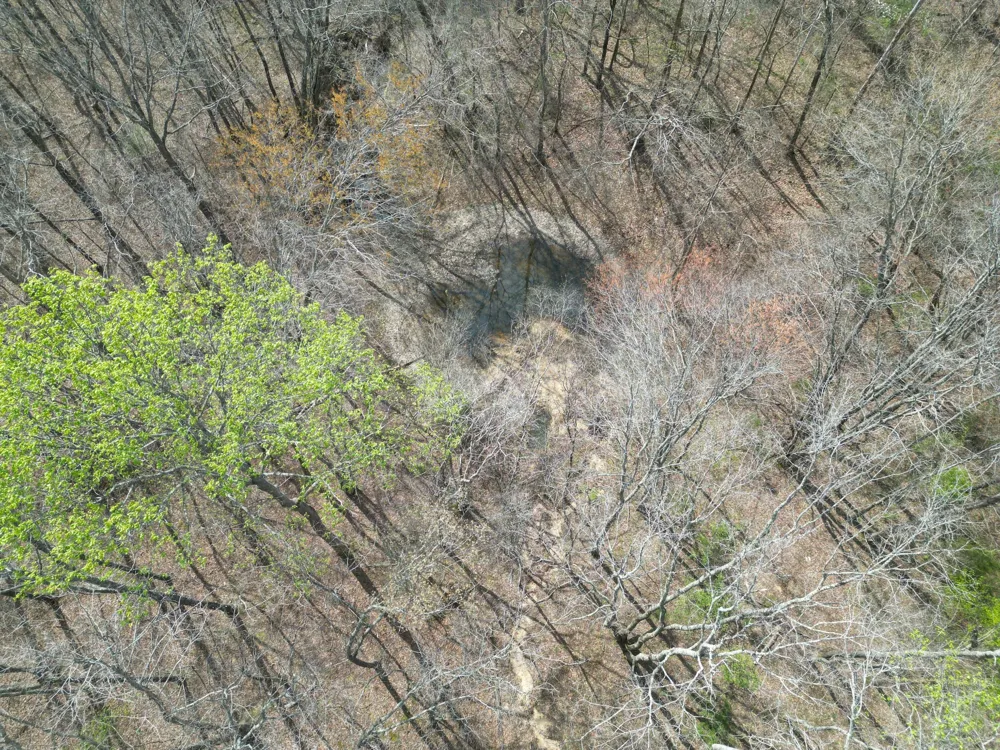 130 Trace view DR Summertown, TN 38483