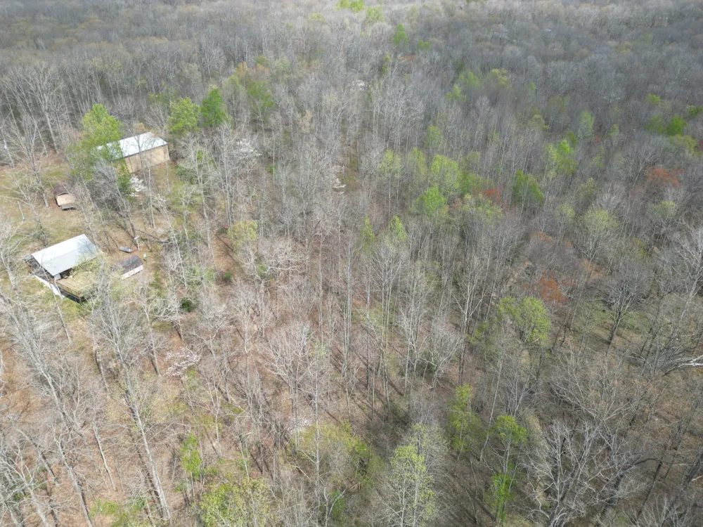 130 Trace view DR Summertown, TN 38483