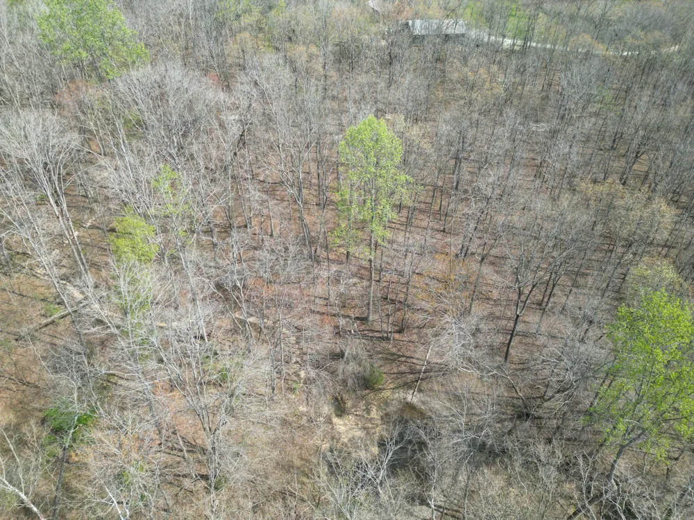 130 Trace view DR Summertown, TN 38483