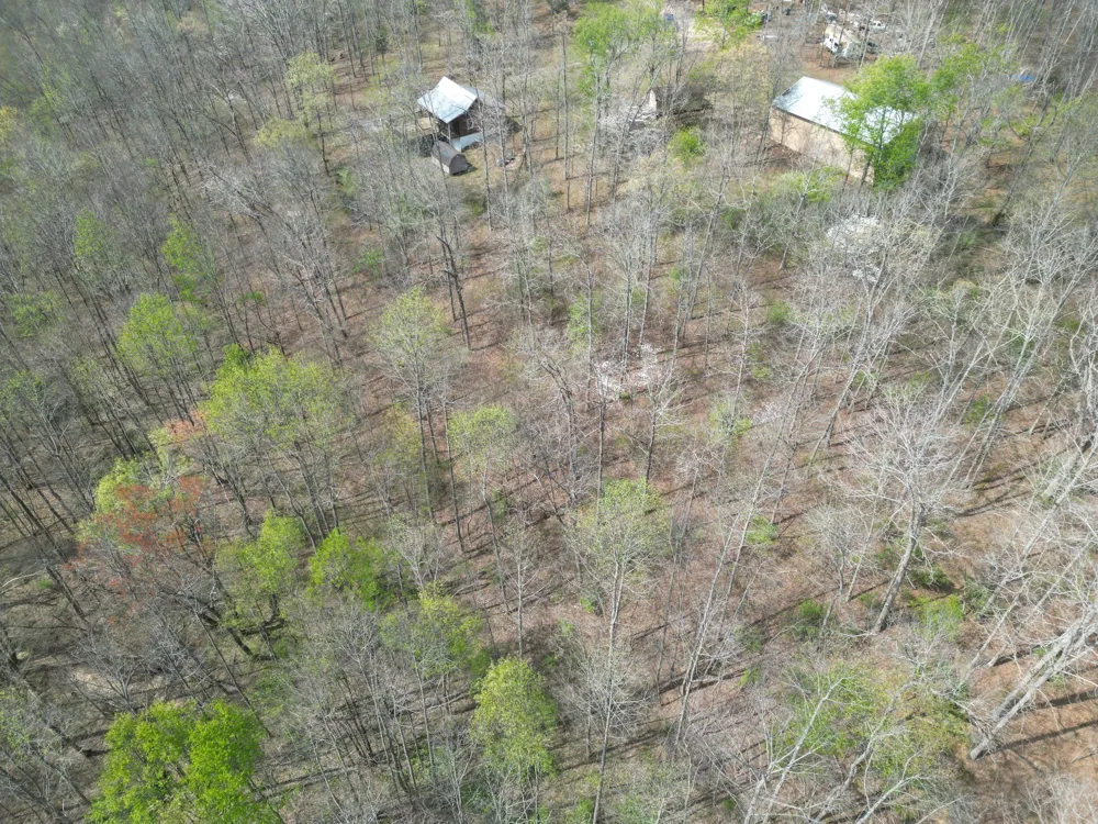130 Trace view DR Summertown, TN 38483