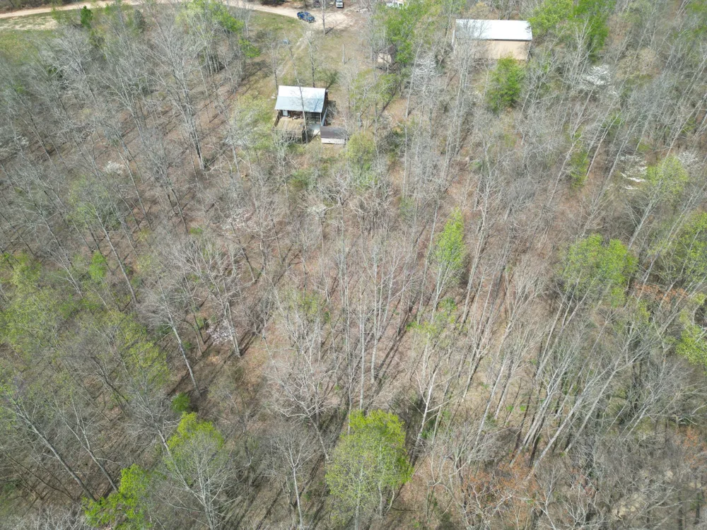 130 Trace view DR Summertown, TN 38483